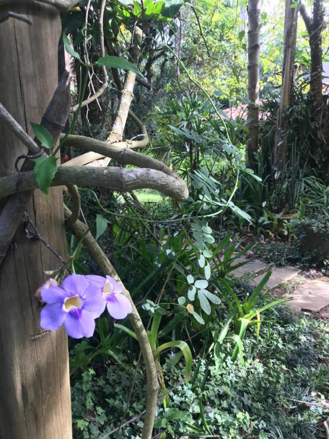 Pousada Flor De Iris São João del Rei Exteriér fotografie