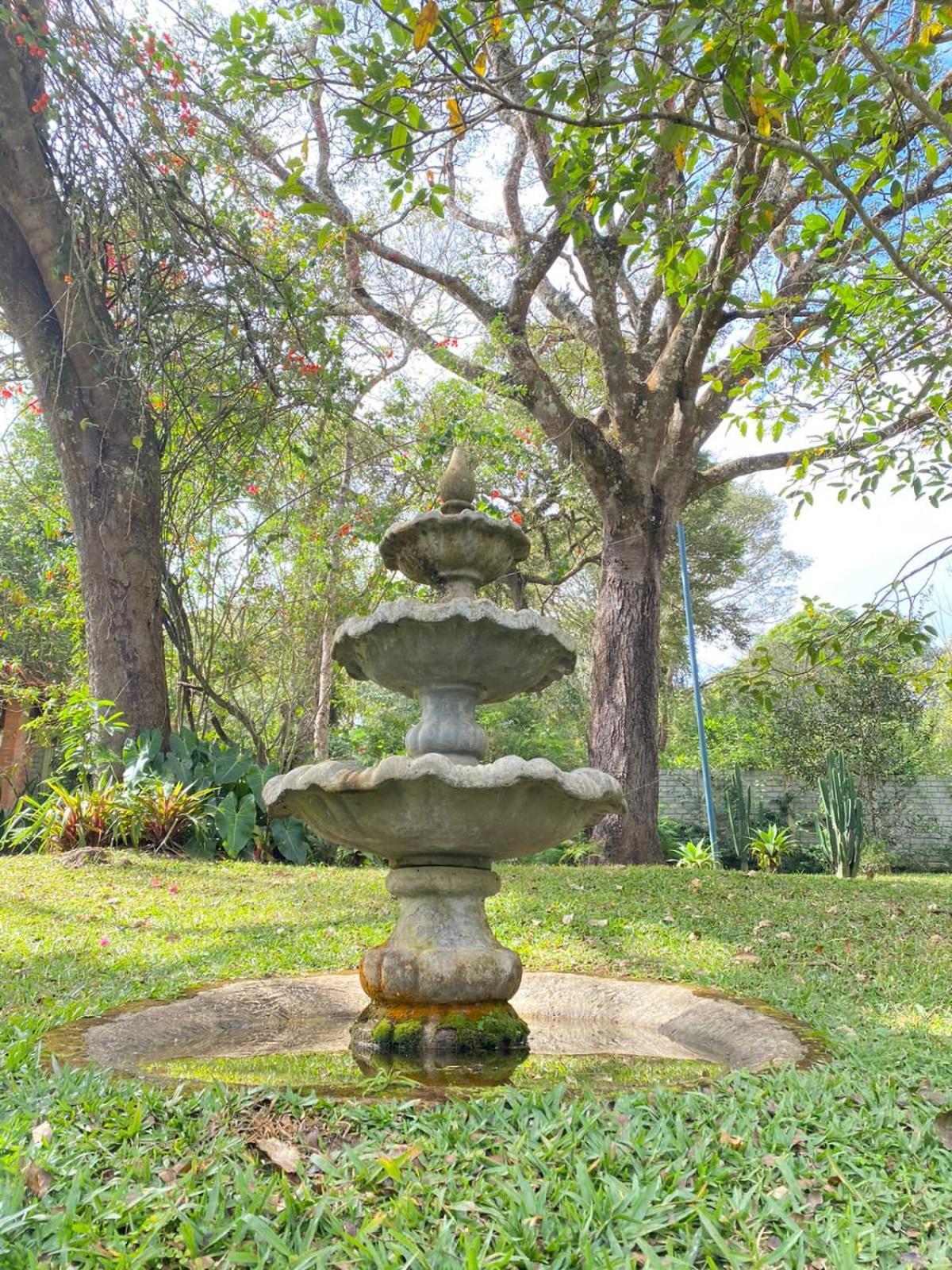 Pousada Flor De Iris São João del Rei Exteriér fotografie
